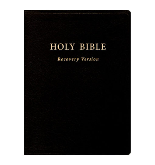 Holy Bible Recovery Version (With footnotes, Black, Bonded leather, 10" x 7 1/8")